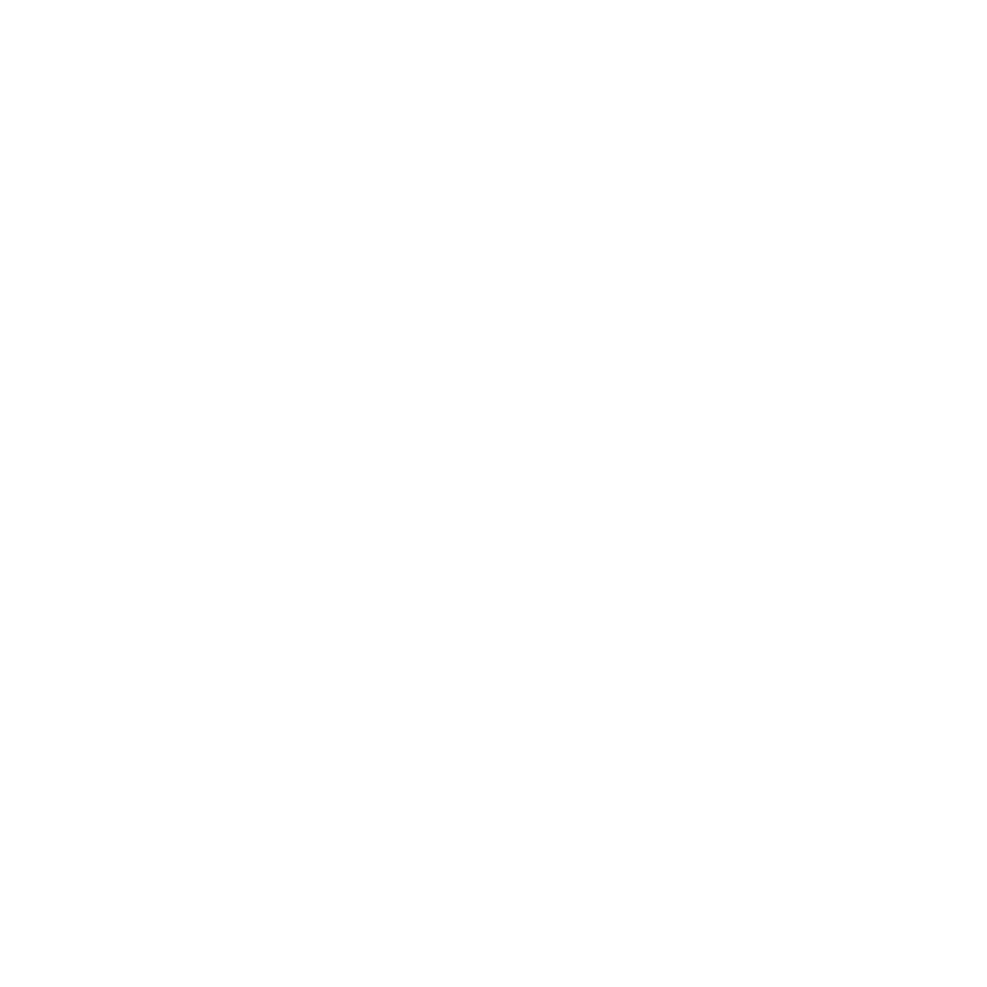 The Premier Group